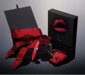 Adore Me Pleasure Kit